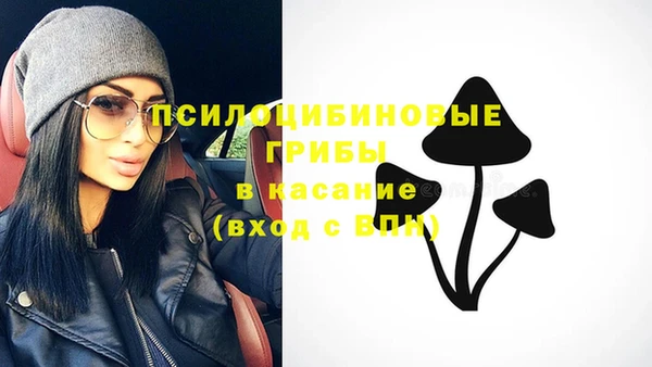 2c-b Верхнеуральск