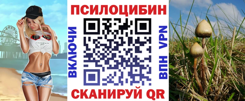 Купить где  Невельск  Псилоцибиновые грибы мицелий 